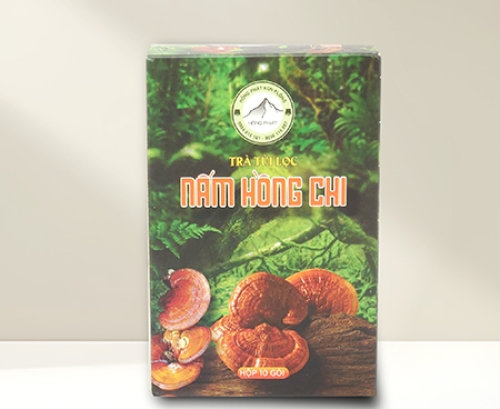 Hộp Giấy - Trà túi lọc Nấm Hồng Chi