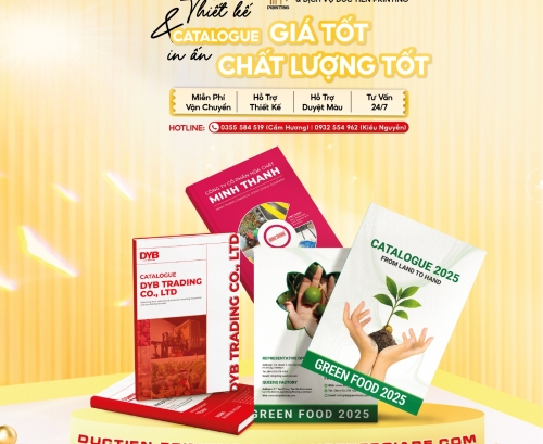 In Ấn Thiết Kế Catalogue
