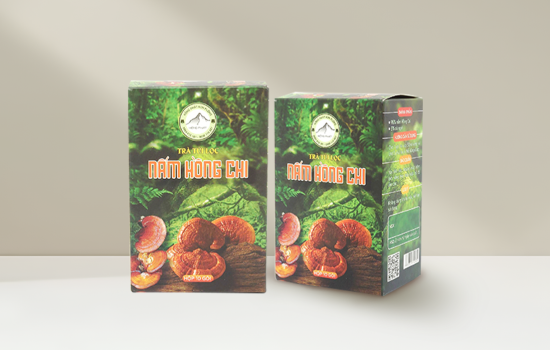 Hộp Giấy - Trà túi lọc Nấm Hồng Chi