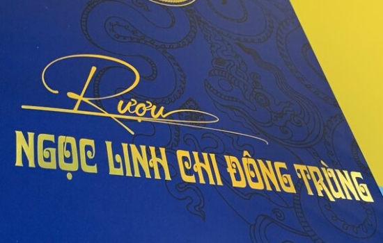 IN HỘP RƯỢU LINH CHI ĐÔNG TRÙNG 