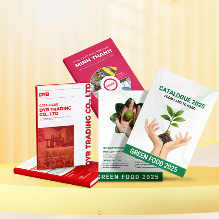 In Ấn Thiết Kế Catalogue
