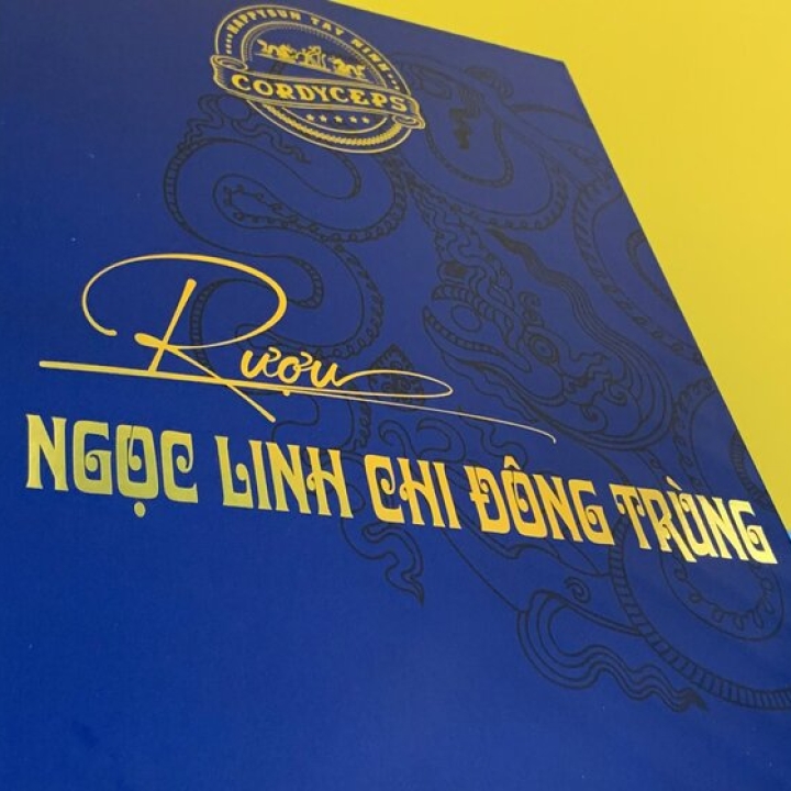 IN HỘP RƯỢU LINH CHI ĐÔNG TRÙNG 